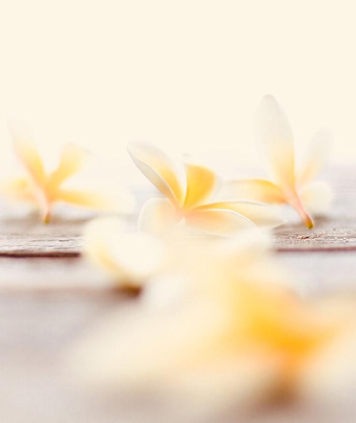 Fleurs